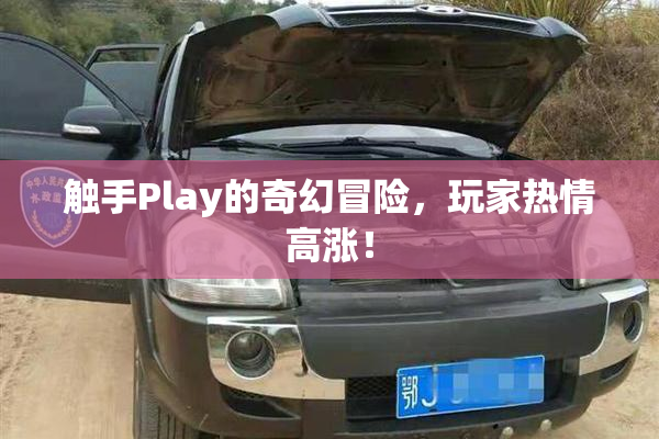 触手Play的奇幻冒险，玩家热情高涨！
