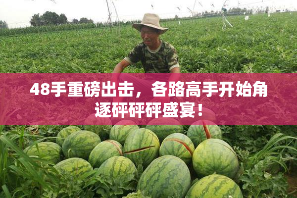 48手重磅出击，各路高手开始角逐砰砰砰盛宴！