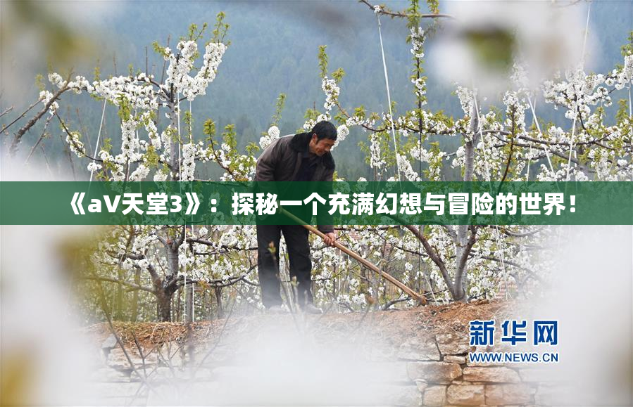 《a∨天堂3》：探秘一个充满幻想与冒险的世界！