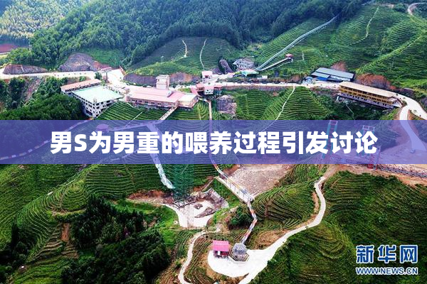 男S为男重的喂养过程引发讨论