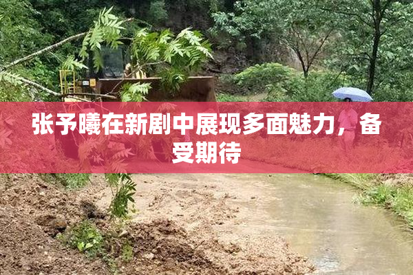 张予曦在新剧中展现多面魅力，备受期待