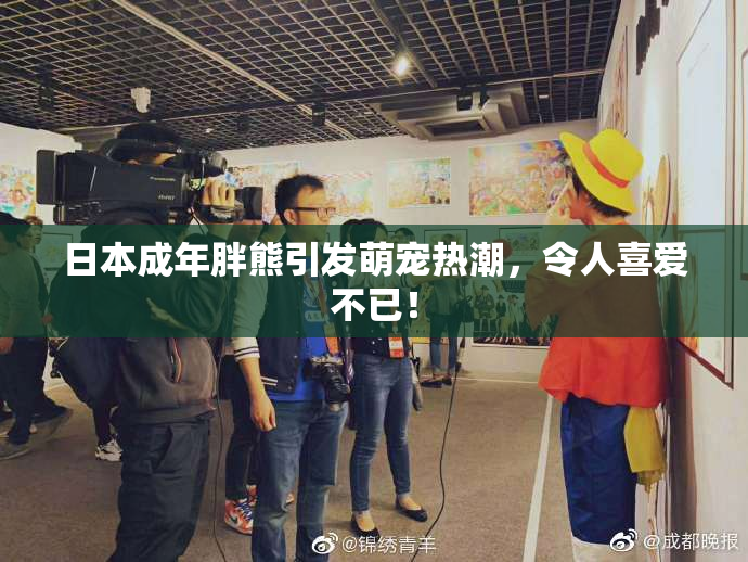 日本成年胖熊引发萌宠热潮，令人喜爱不已！