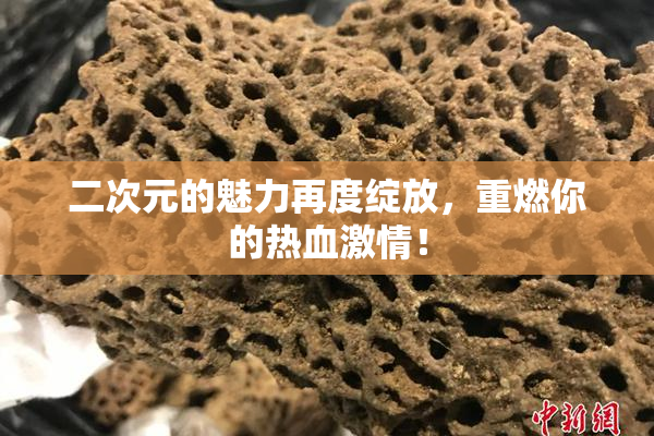 二次元的魅力再度绽放，重燃你的热血激情！