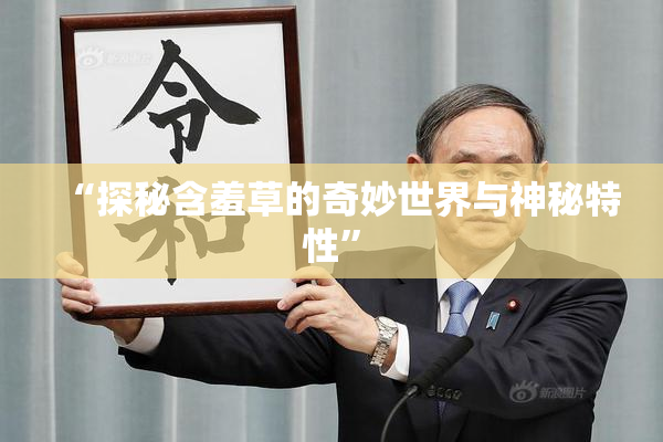“探秘含羞草的奇妙世界与神秘特性”