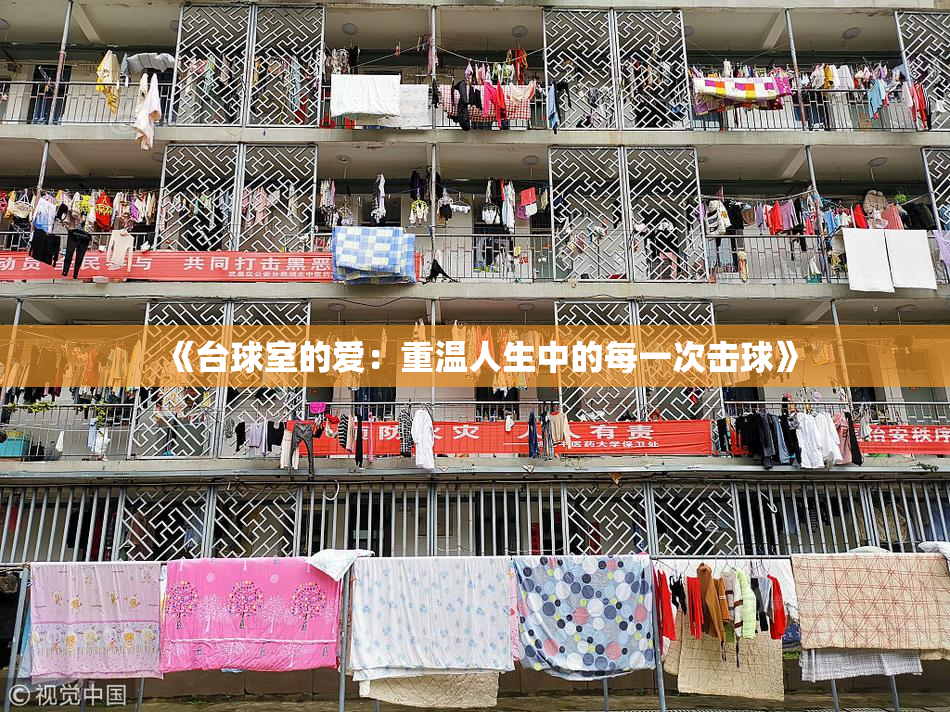 《台球室的爱：重温人生中的每一次击球》