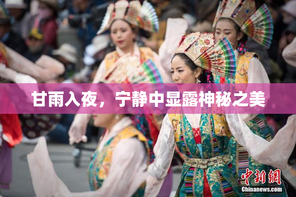 甘雨入夜，宁静中显露神秘之美