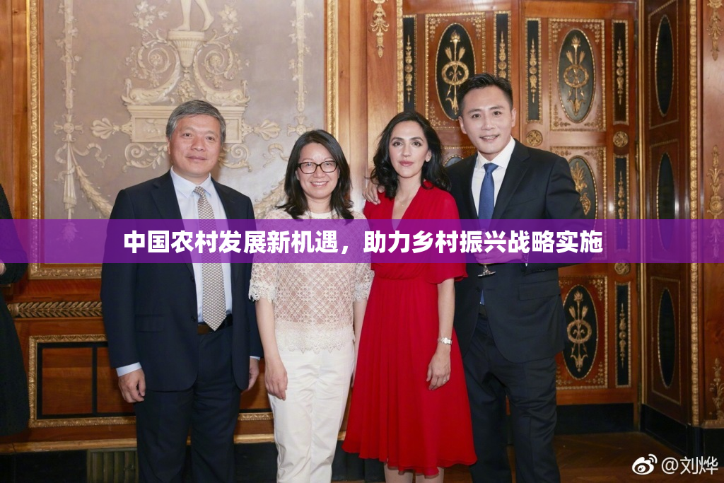 中国农村发展新机遇，助力乡村振兴战略实施