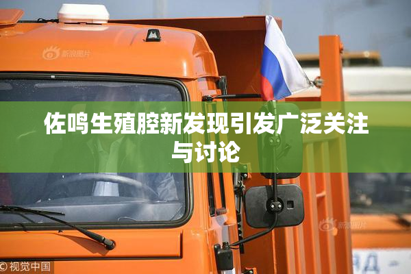 佐鸣生殖腔新发现引发广泛关注与讨论