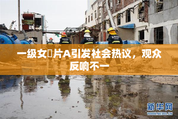 一级女婬片A引发社会热议，观众反响不一