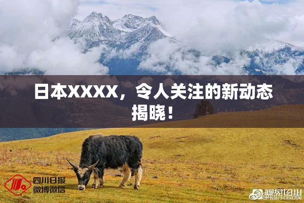 日本XXXX，令人关注的新动态揭晓！
