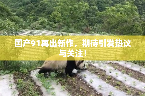 国产91再出新作，期待引发热议与关注！