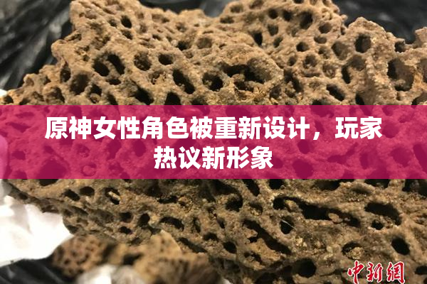 原神女性角色被重新设计，玩家热议新形象