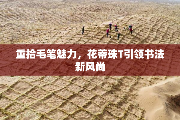 重拾毛笔魅力，花蒂珠T引领书法新风尚