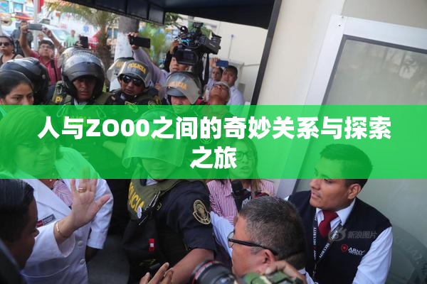 人与ZO00之间的奇妙关系与探索之旅