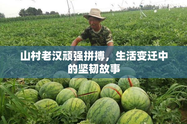 山村老汉顽强拼搏，生活变迁中的坚韧故事