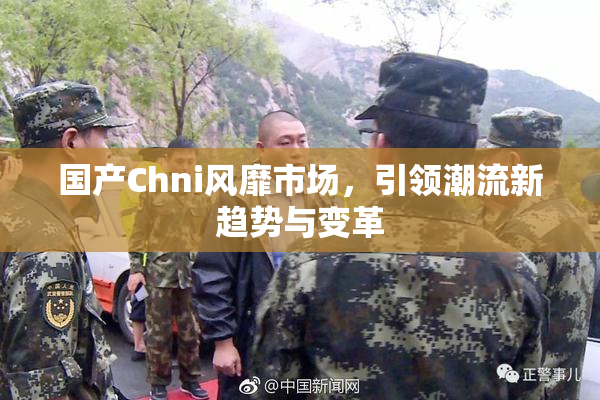 国产Chni风靡市场，引领潮流新趋势与变革