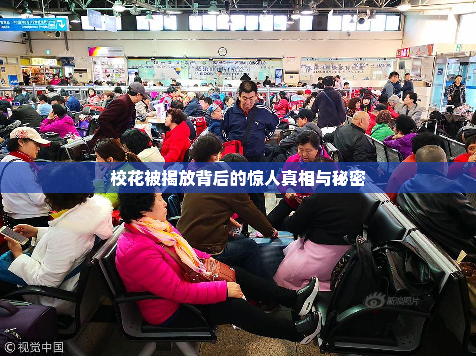 校花被揭放背后的惊人真相与秘密