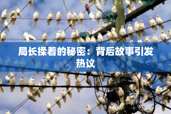 局长揉着的秘密：背后故事引发热议