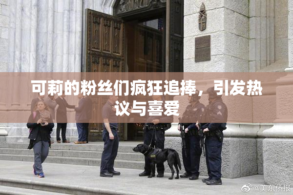 可莉的粉丝们疯狂追捧，引发热议与喜爱