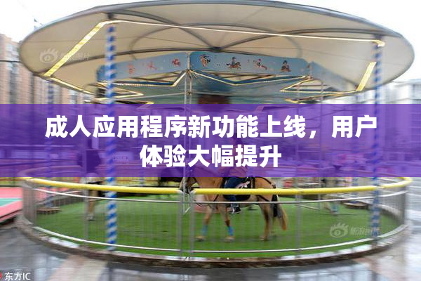 成人应用程序新功能上线，用户体验大幅提升