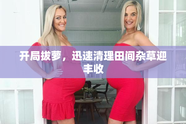 开局拔萝，迅速清理田间杂草迎丰收
