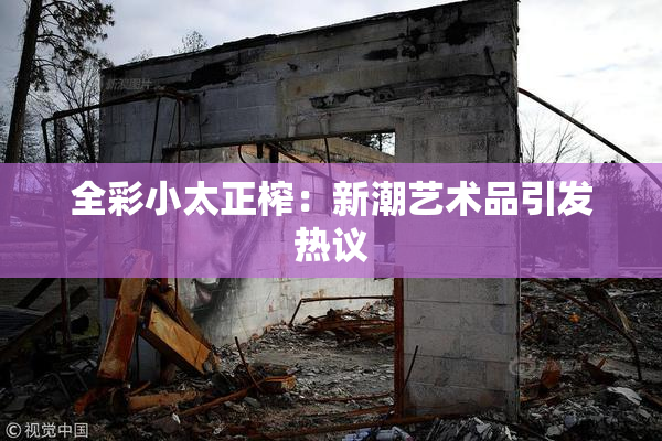 全彩小太正榨：新潮艺术品引发热议