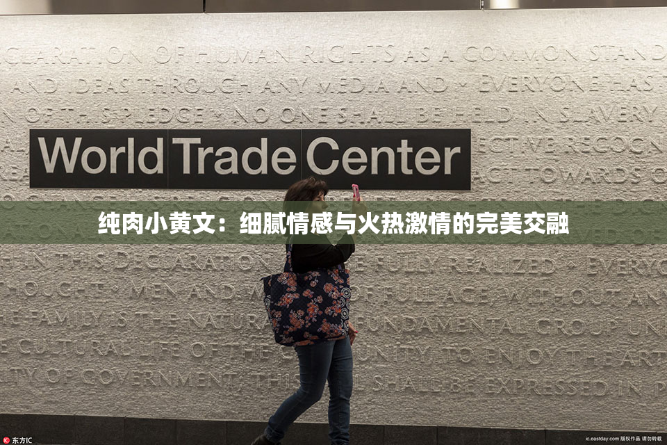 纯肉小黄文：细腻情感与火热激情的完美交融