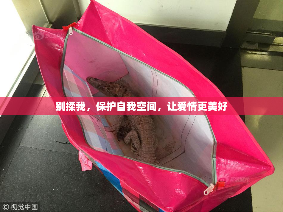 别揉我，保护自我空间，让爱情更美好