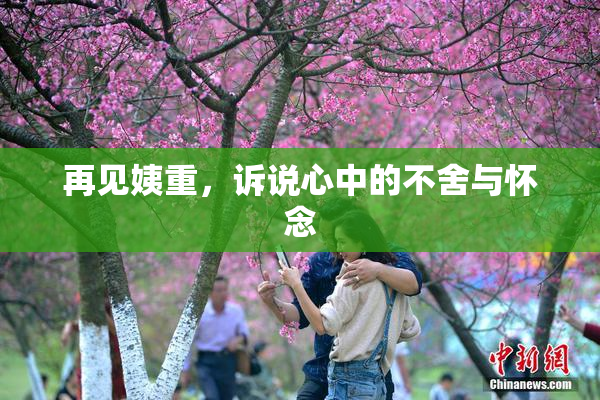 再见姨重，诉说心中的不舍与怀念