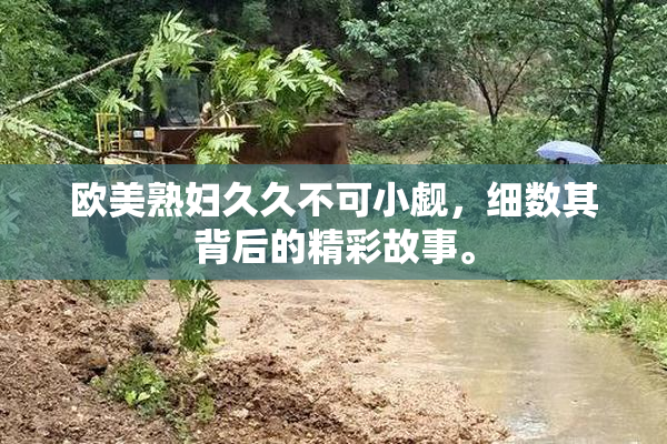 欧美熟妇久久不可小觑，细数其背后的精彩故事。