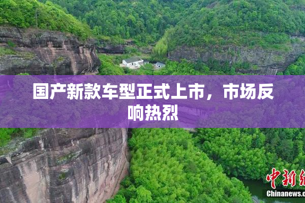 国产新款车型正式上市，市场反响热烈