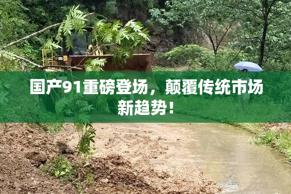 国产91重磅登场，颠覆传统市场新趋势！