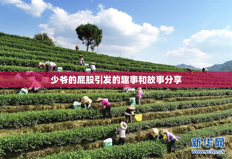 少爷的屁股引发的趣事和故事分享