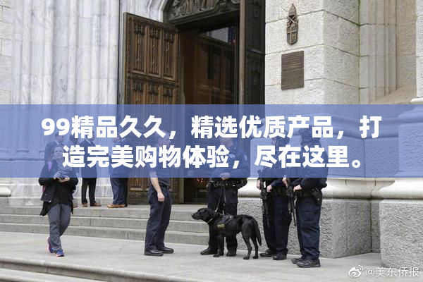 99精品久久，精选优质产品，打造完美购物体验，尽在这里。