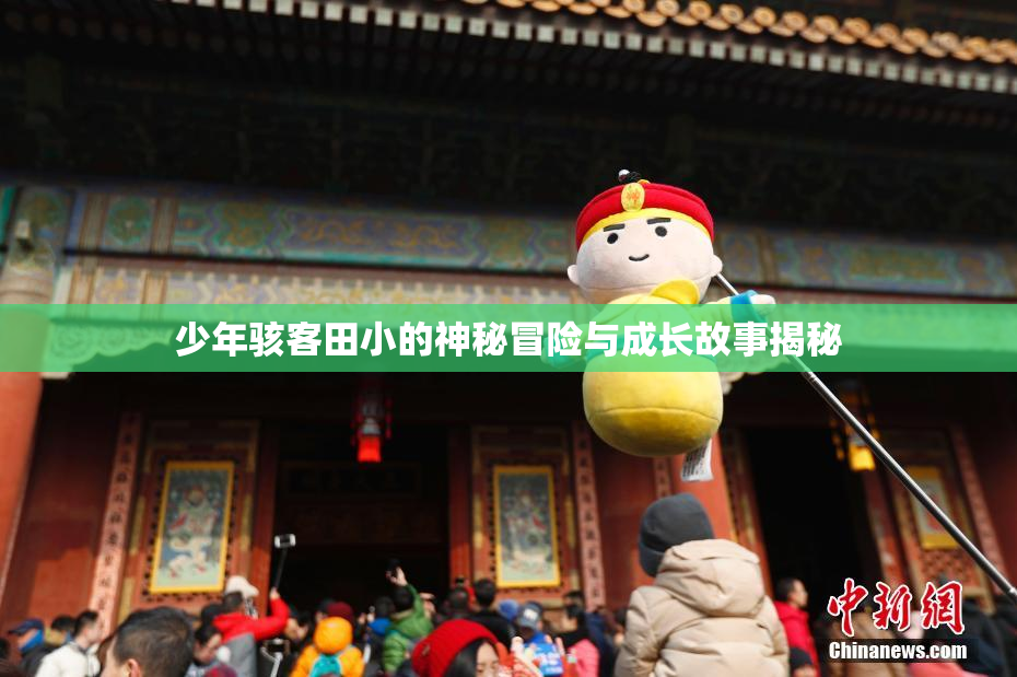 少年骇客田小的神秘冒险与成长故事揭秘