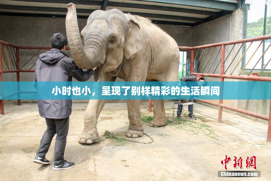小时也小，呈现了别样精彩的生活瞬间
