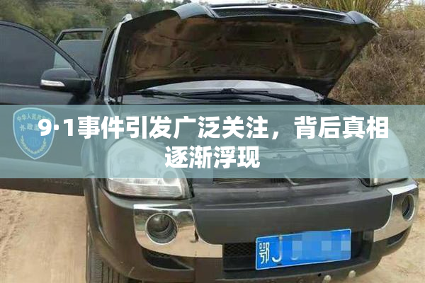 9·1事件引发广泛关注，背后真相逐渐浮现