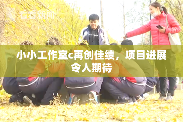 小小工作室c再创佳绩，项目进展令人期待