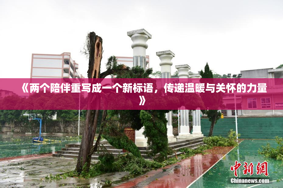 《两个陪伴重写成一个新标语，传递温暖与关怀的力量》