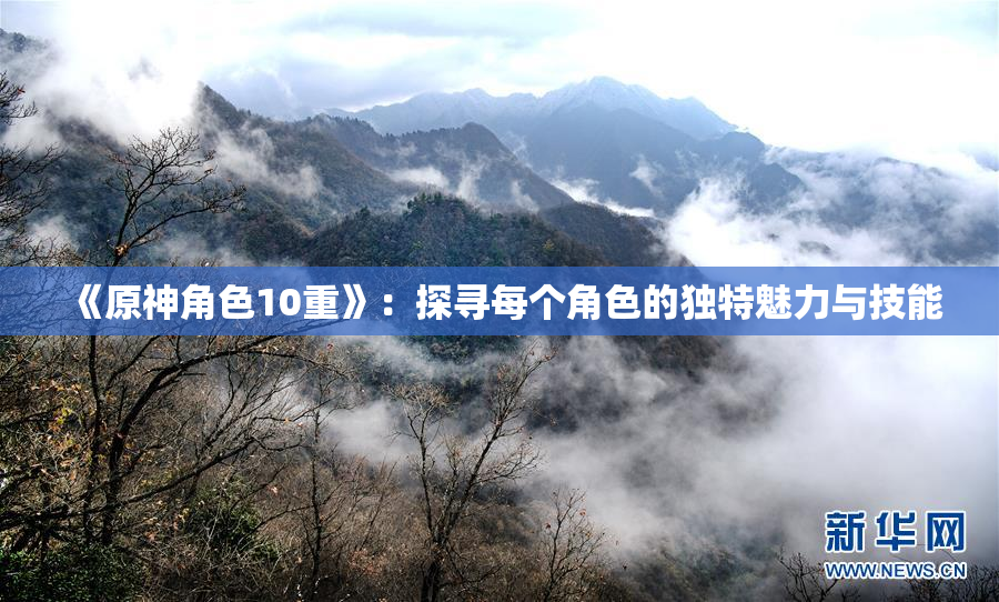 《原神角色10重》：探寻每个角色的独特魅力与技能