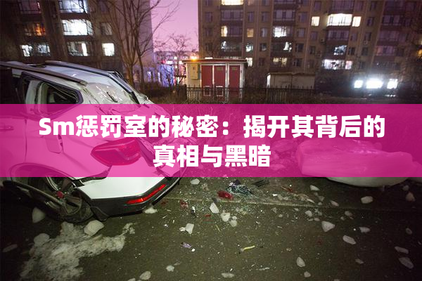 Sm惩罚室的秘密：揭开其背后的真相与黑暗