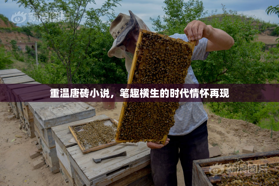 重温唐砖小说，笔趣横生的时代情怀再现