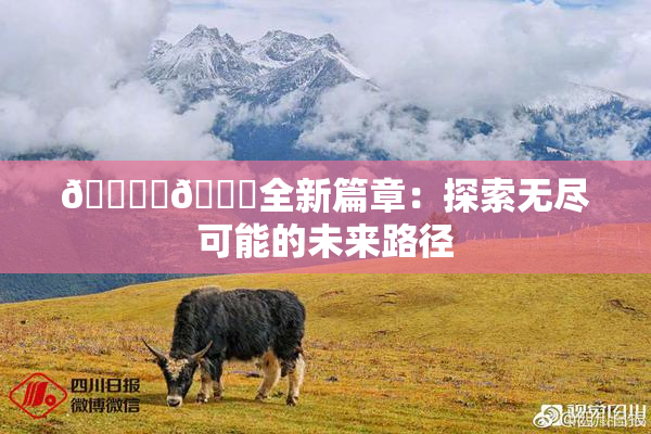 🔞‌🍌全新篇章：探索无尽可能的未来路径