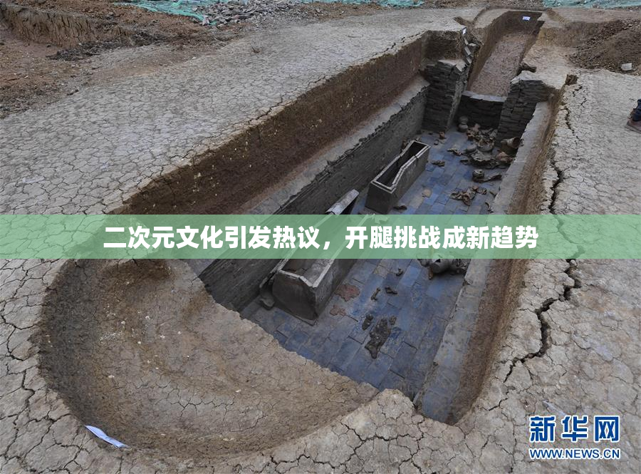 二次元文化引发热议，开腿挑战成新趋势