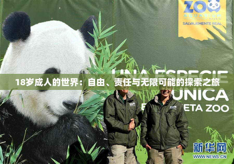 18岁成人的世界：自由、责任与无限可能的探索之旅