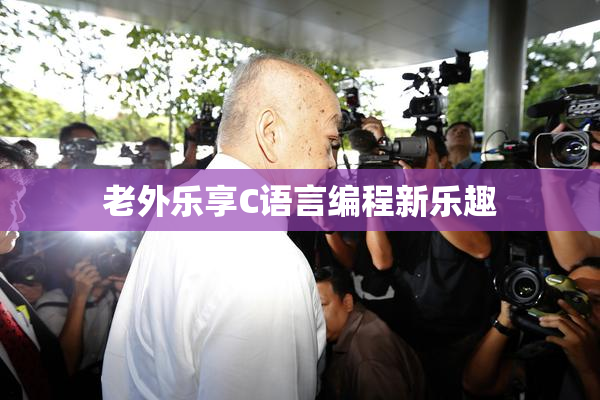 老外乐享C语言编程新乐趣