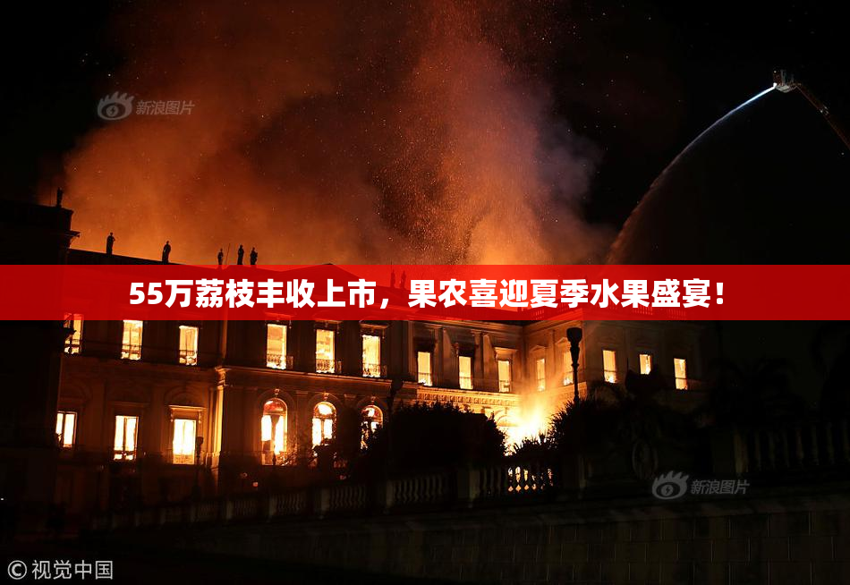 55万荔枝丰收上市，果农喜迎夏季水果盛宴！