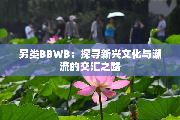 另类BBWB：探寻新兴文化与潮流的交汇之路