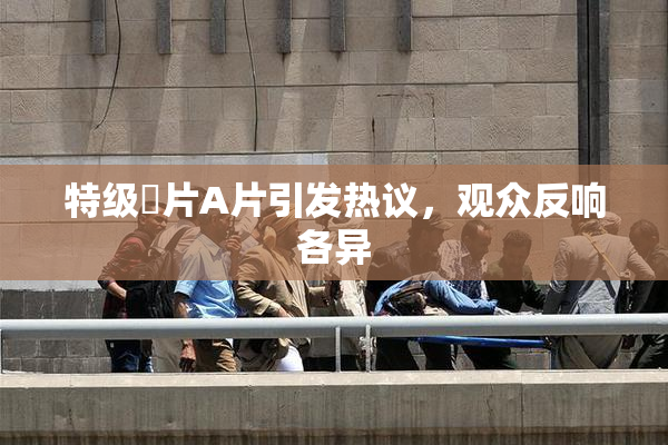 特级婬片A片引发热议，观众反响各异