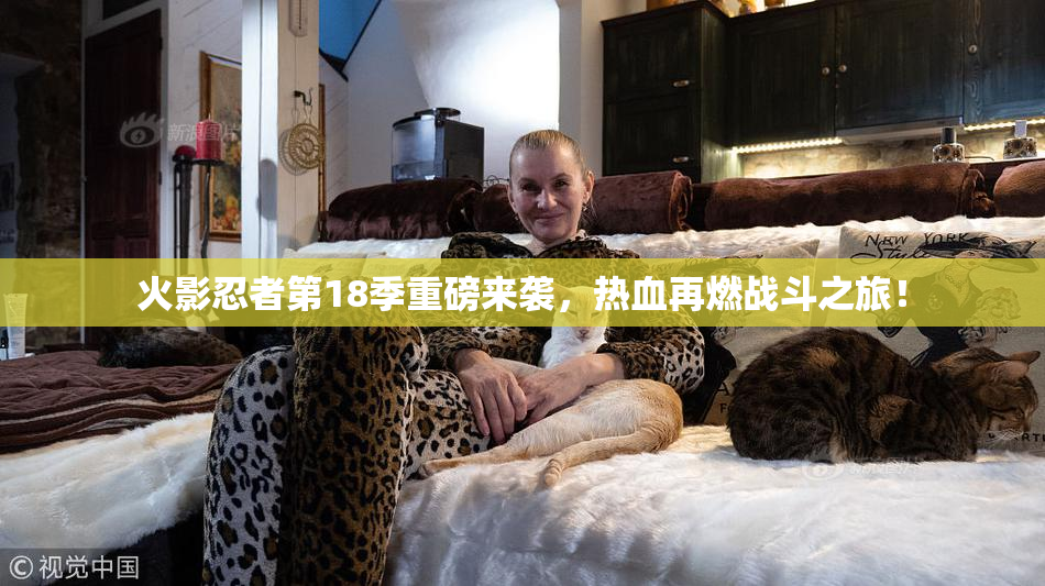 火影忍者第18季重磅来袭，热血再燃战斗之旅！